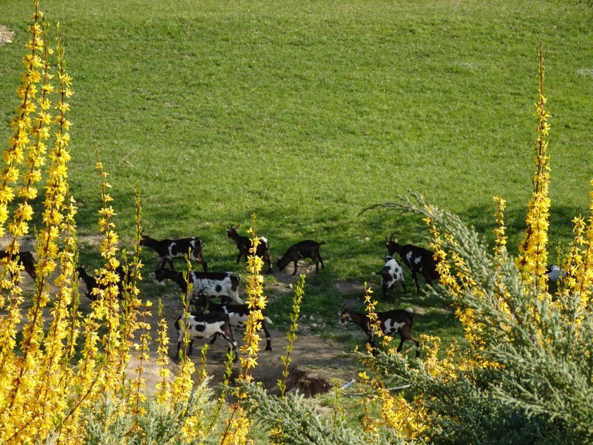 Biohof Schwanser ชไตน์บาค อัม อัทเทอร์เซ ภายนอก รูปภาพ